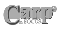 Carp in Focus